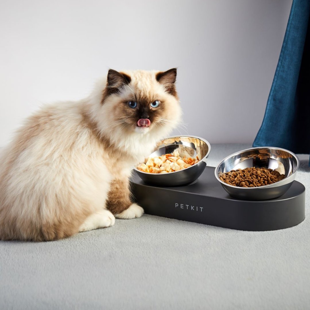 PETKIT - Fresh Nano Bowl