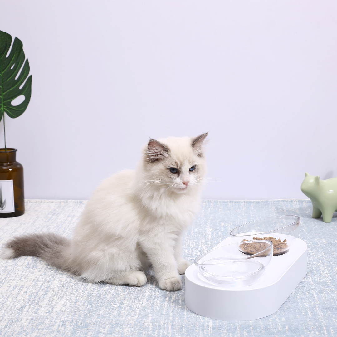 PETKIT - Fresh Nano Bowl