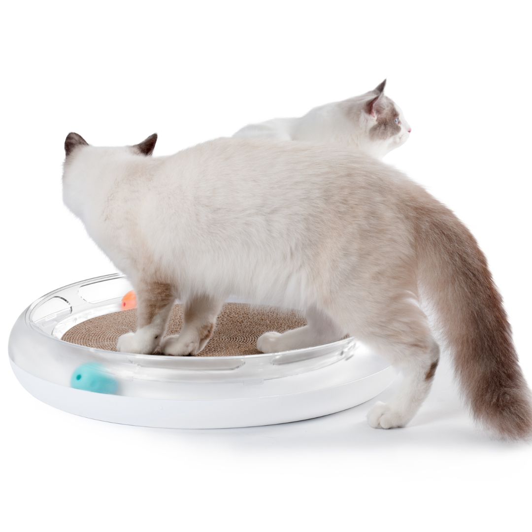PETKIT - Fun Cat Scratcher 4in1