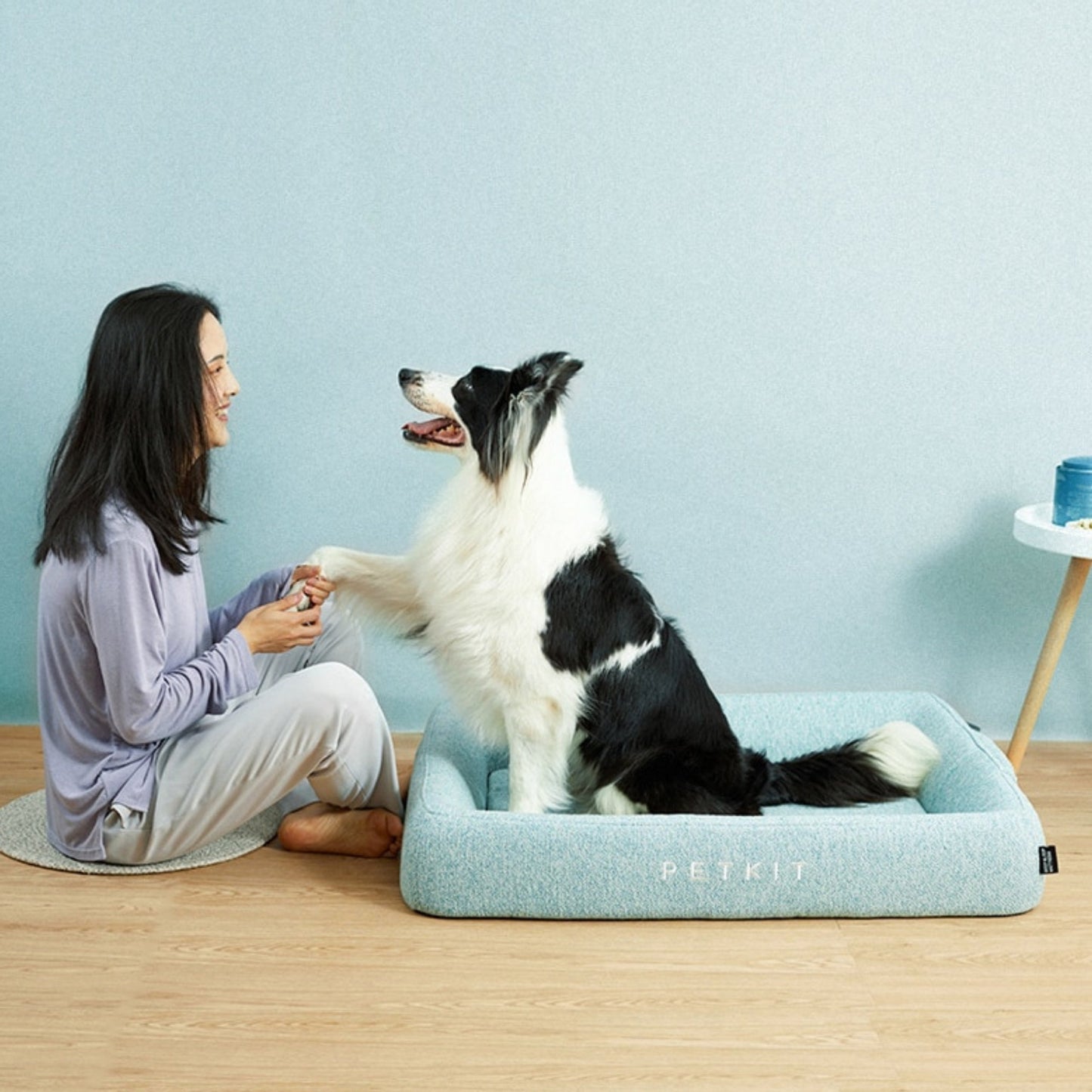 PETKIT - Four Season Pet Bed