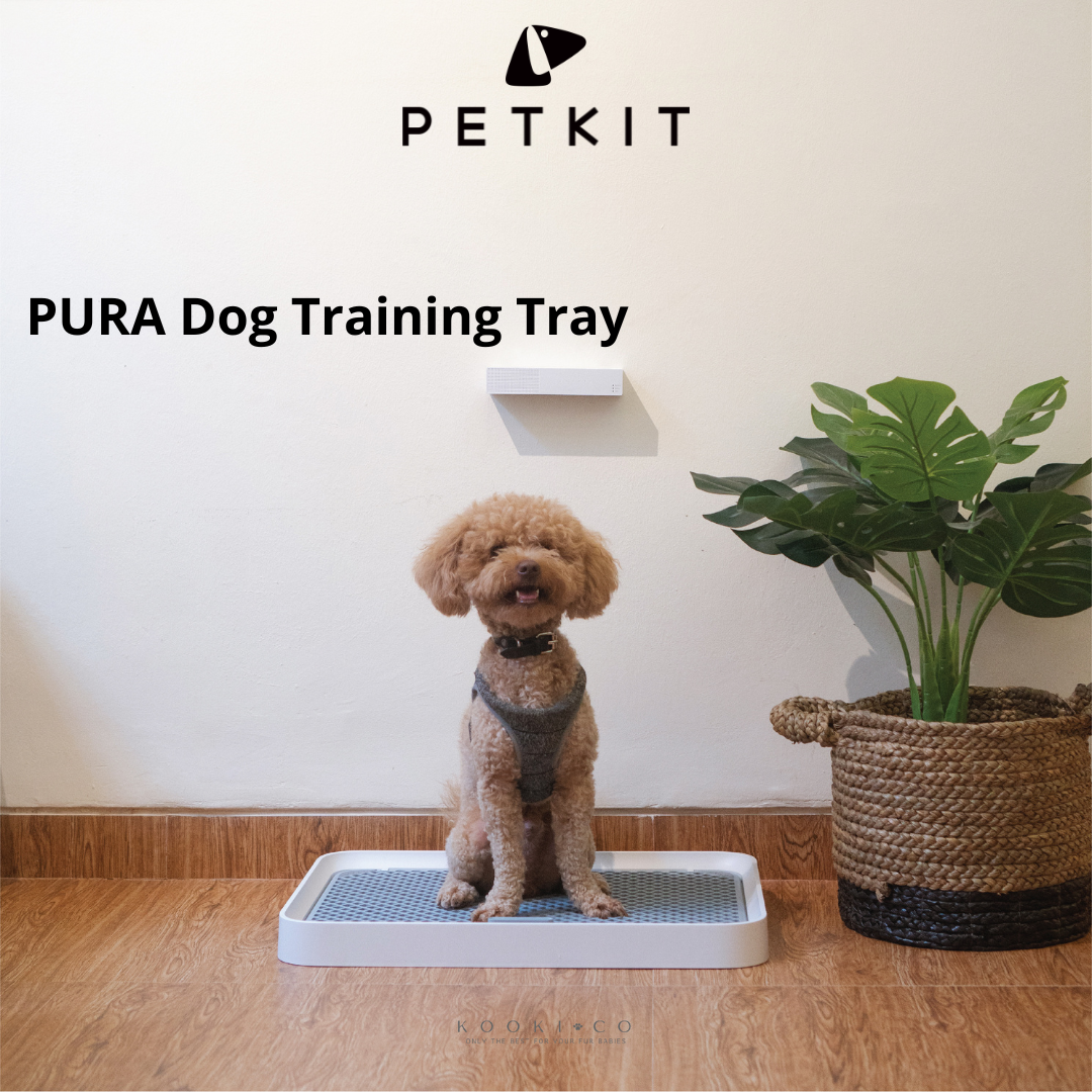 PETKIT - Pura Dog Training Tray