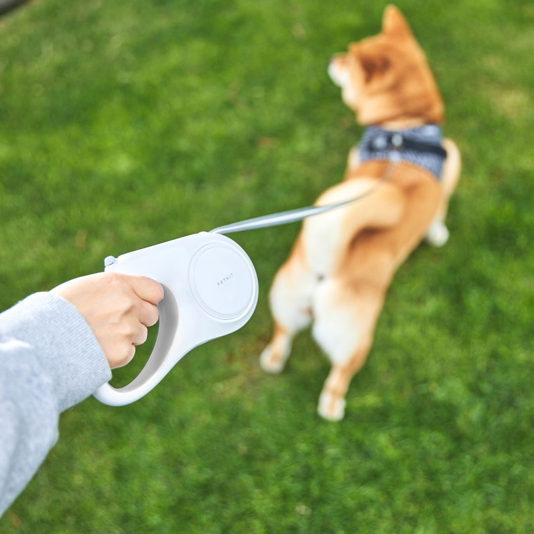 PETKIT - Go Free Pet Retractable Leash